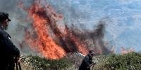País registrou um total de 80 incêndios na sexta-feira