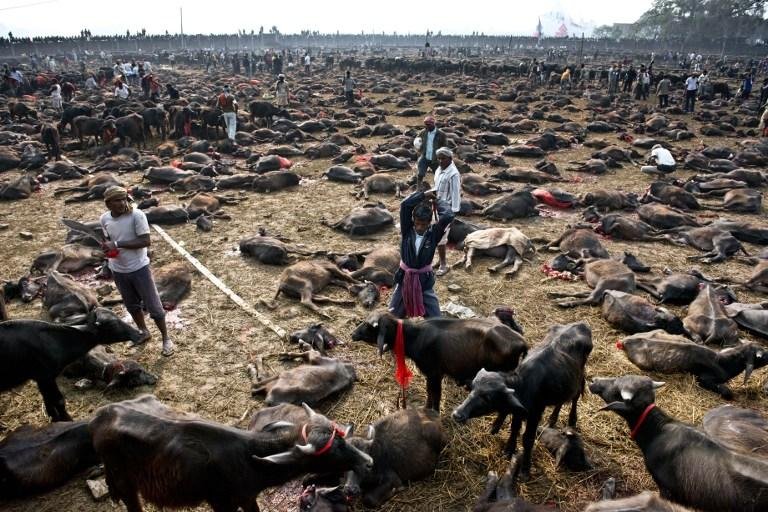 Pelo menos dez est&atilde;o desaparecidos