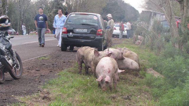 Colis&atilde;o ocorreu na BR 472