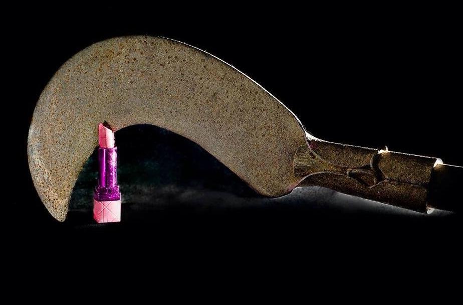 Exposi&ccedil;&atilde;o estreia nesta ter&ccedil;a e segue at&eacute; sexta na Galeria da AL