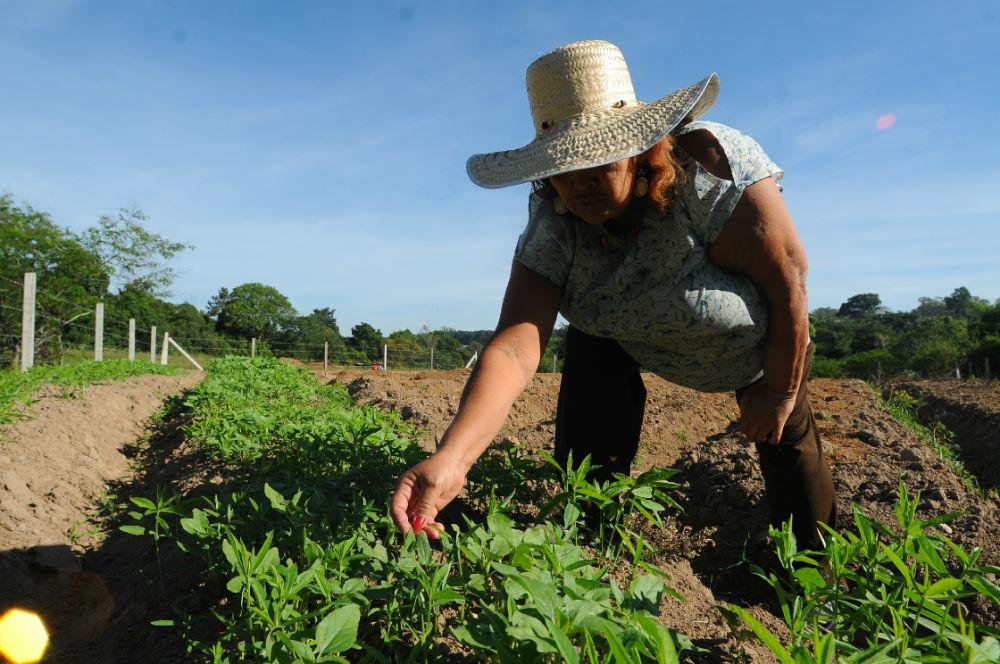Prioridades da &aacute;rea da agricultura ser&atilde;o projetos de irriga&ccedil;&atilde;o, produ&ccedil;&atilde;o leiteira e apoio &agrave;s agroind&uacute;strias