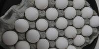 Japão abre mercado para ovos do Brasil