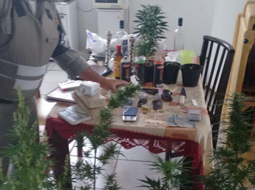 Brigada apreendeu p&eacute;s de maconha