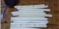 Dezoito bananas de dinamite são apreendidas em Anta Gorda 
