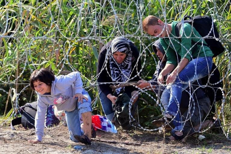 Imigrantes continuavam a atravessar a fronteira s&eacute;rvio-h&uacute;ngara apesar da conclus&atilde;o de uma cerca de arame farpado