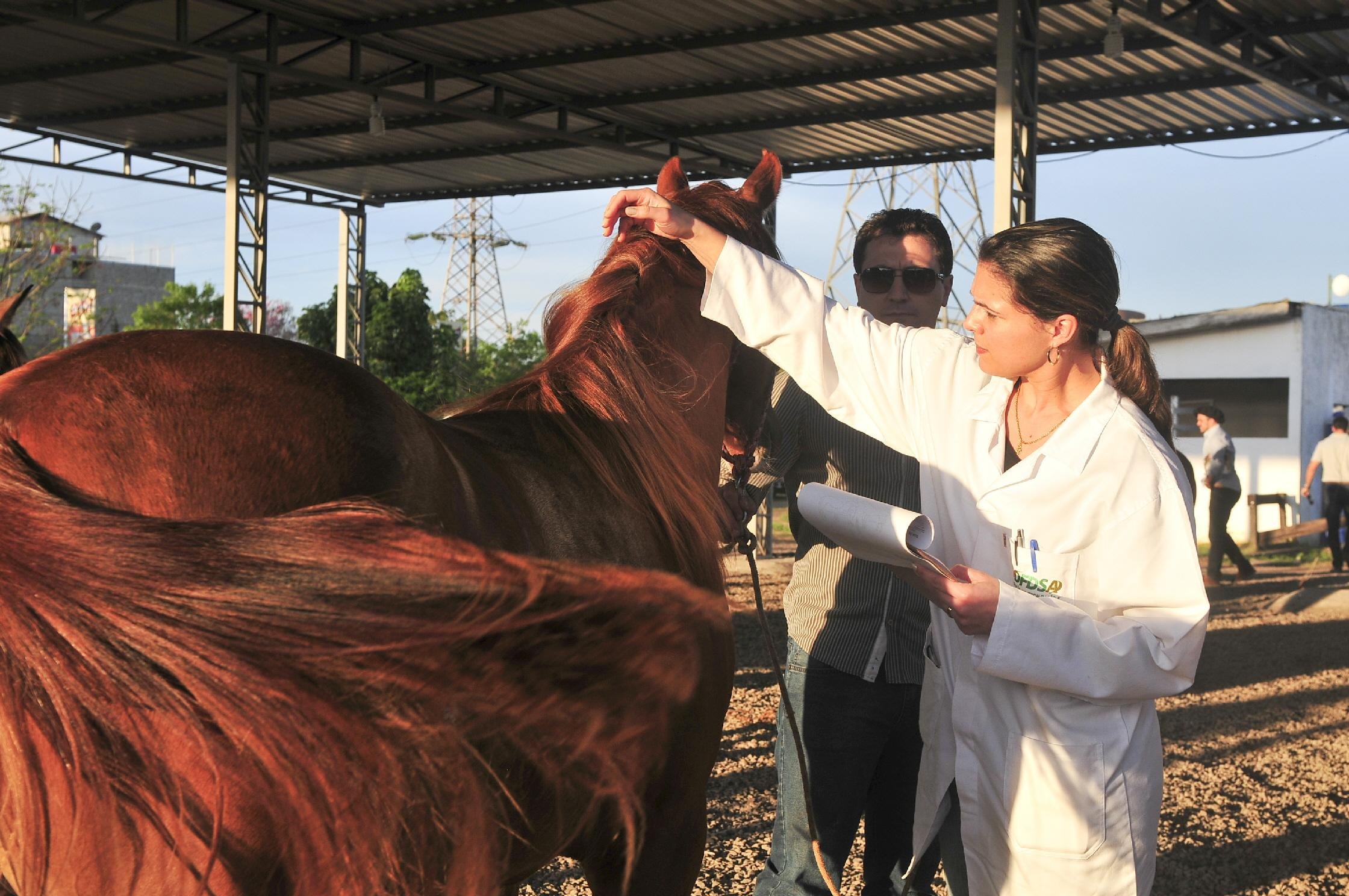 Fiscais agropecu&aacute;rios suspendem trabalhos na Expointer