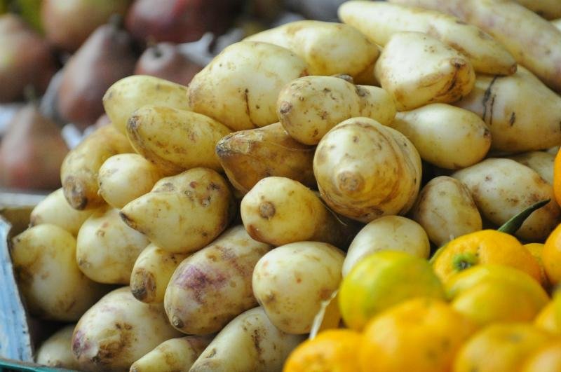 Pre&ccedil;o da batata-inglesa caiu 19,07% em agosto