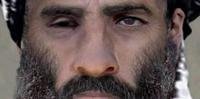 Fundador do Talibã afegão faleceu em 2013 vítima de hepatite C