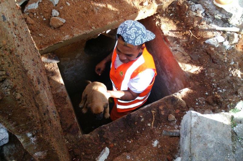 Ele foi levado pelos funcion&aacute;rios do DEP at&eacute; a Se&ccedil;&atilde;o Leste e passar&aacute; a morar no local