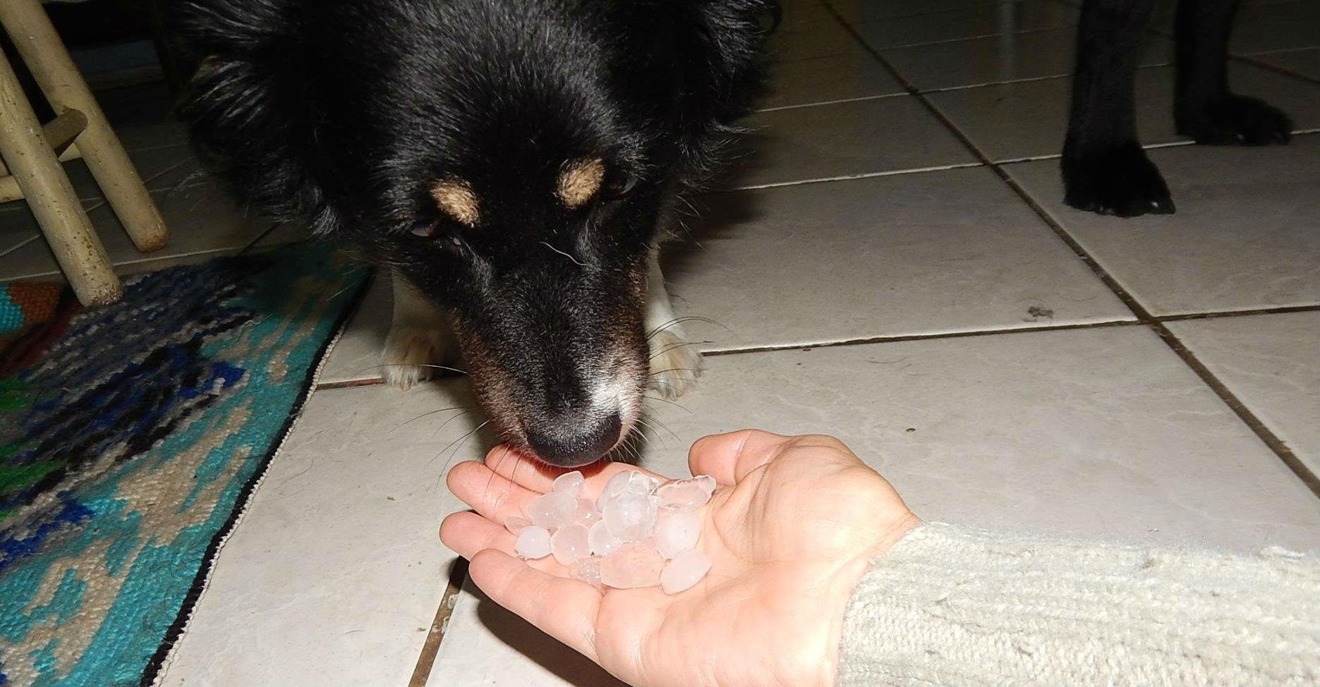 Granizo danifica mais de 500 casas em Novo Hamburgo