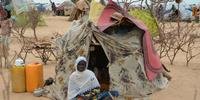 Milhares de pessoas vivem em campos de refugiados para escapar das ações do Boko Haram