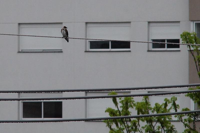 Tempo segue inst&aacute;vel no fim de semana, com risco de cheias