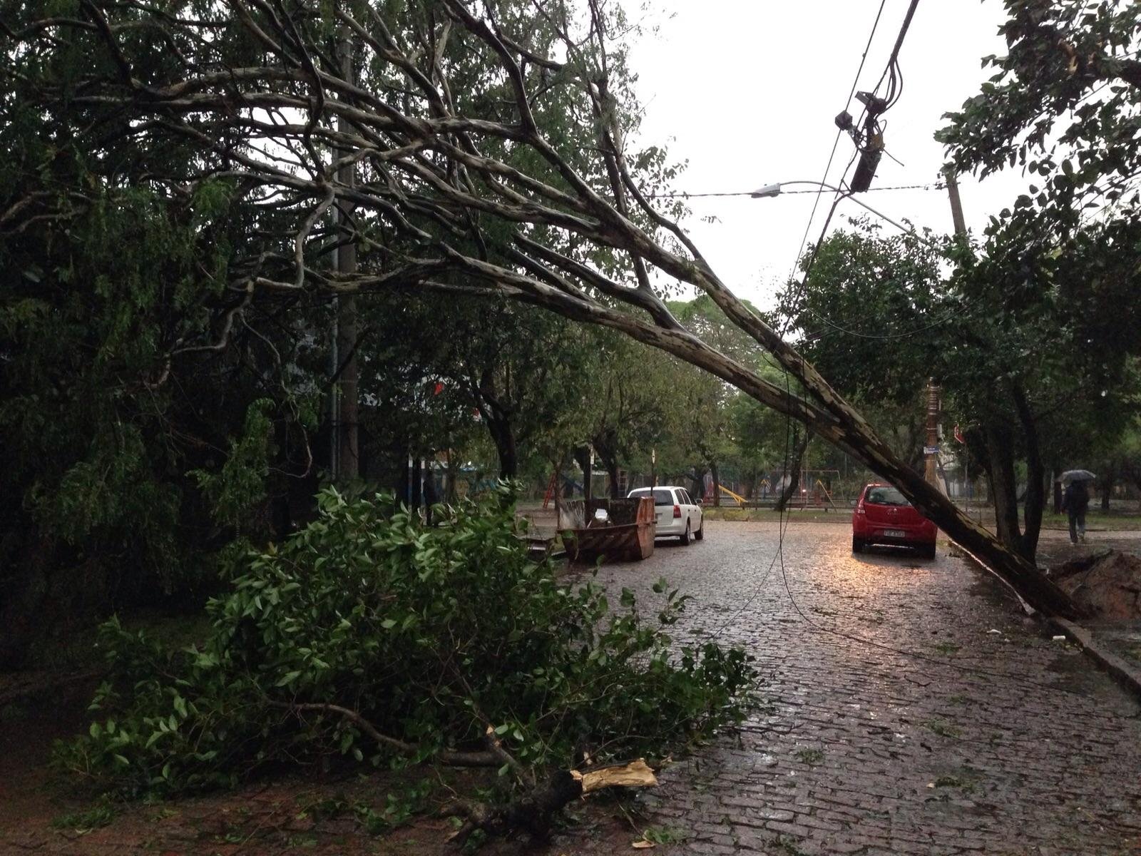Temporal derrubou &aacute;rvores e postes em Porto Alegre 