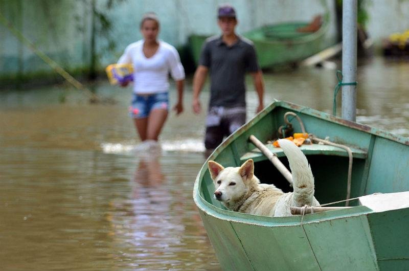 Em Porto Alegre, m&iacute;nima ser&aacute; de 17&ordm;C e a m&aacute;xima de 33&ordm;C