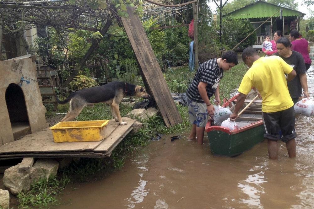 Seda pede a contruibui&ccedil;&atilde;o de ra&ccedil;&atilde;o e casinhas de cachorros