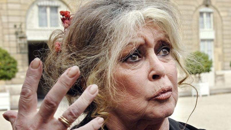 Brigitte Bardot &eacute; conhecida protetora dos animais