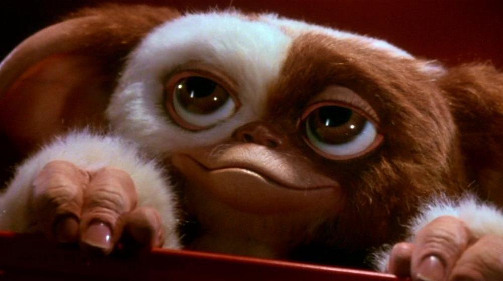 Mogwais, os pequenos seres peludos, v&atilde;o voltar &agrave;s telonas