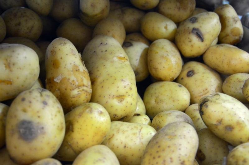 Alimentos essenciais custaram R$ 404,62 em novembro