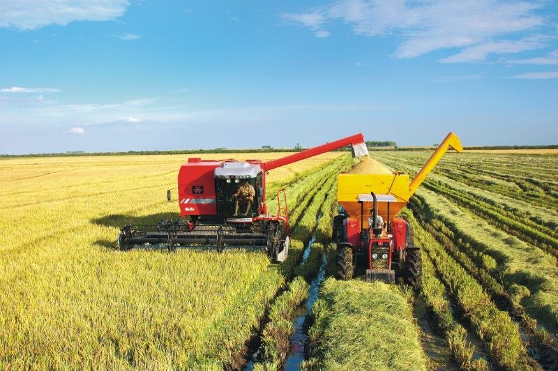 Nos &uacute;ltimos 40 anos, a produ&ccedil;&atilde;o brasileira de gr&atilde;os e fibras cresceu 325%