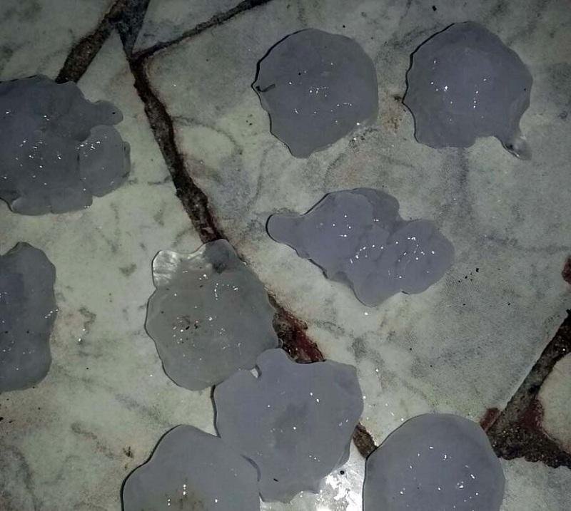 Defesa Civil foi acionada ap&oacute;s granizo em Floriano Peixoto