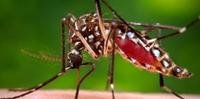 Apesar dos esforços dos municípios, a zika avança no Rio Grande do Sul
