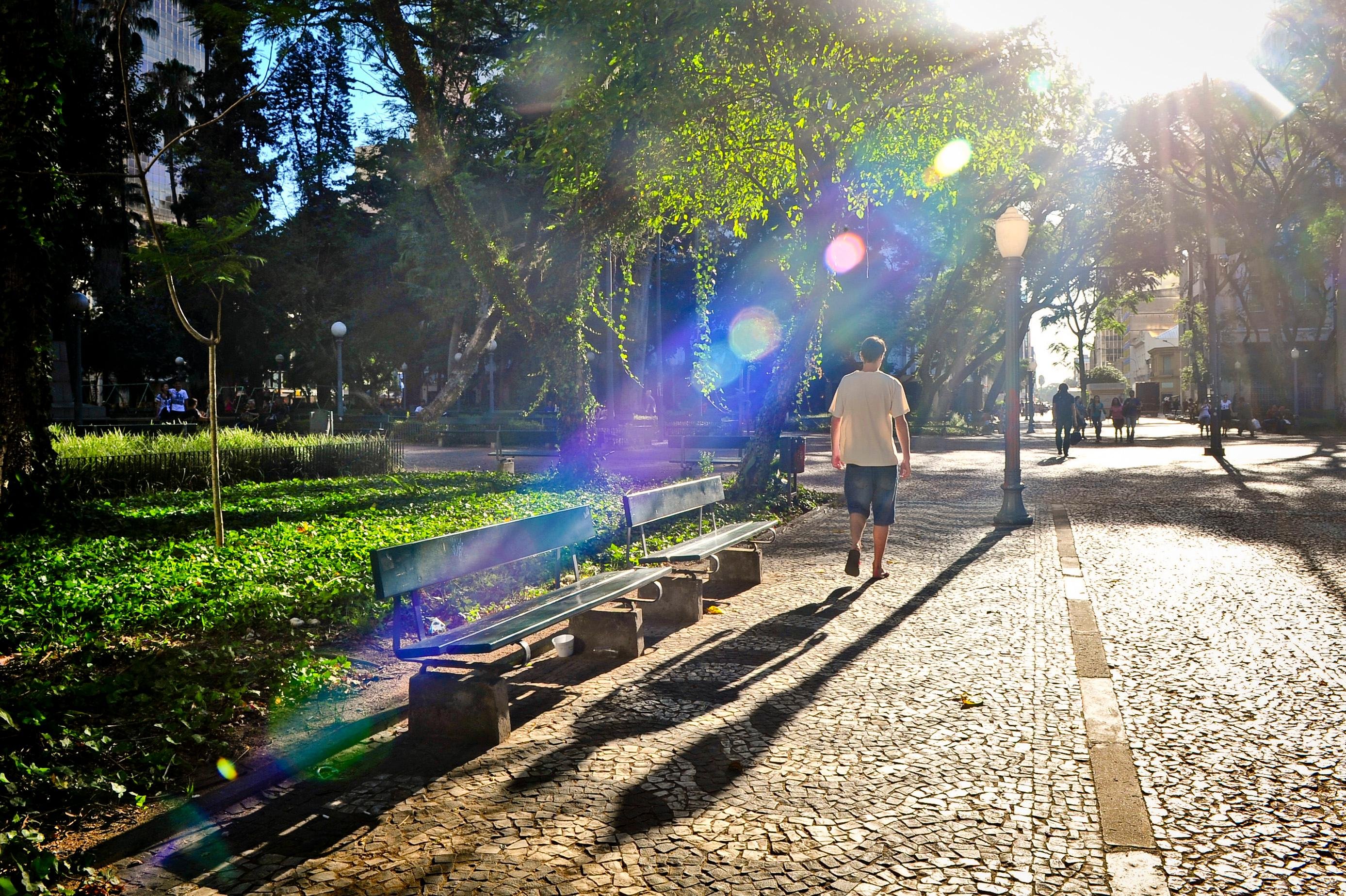 Sol predomina neste domingo no RS