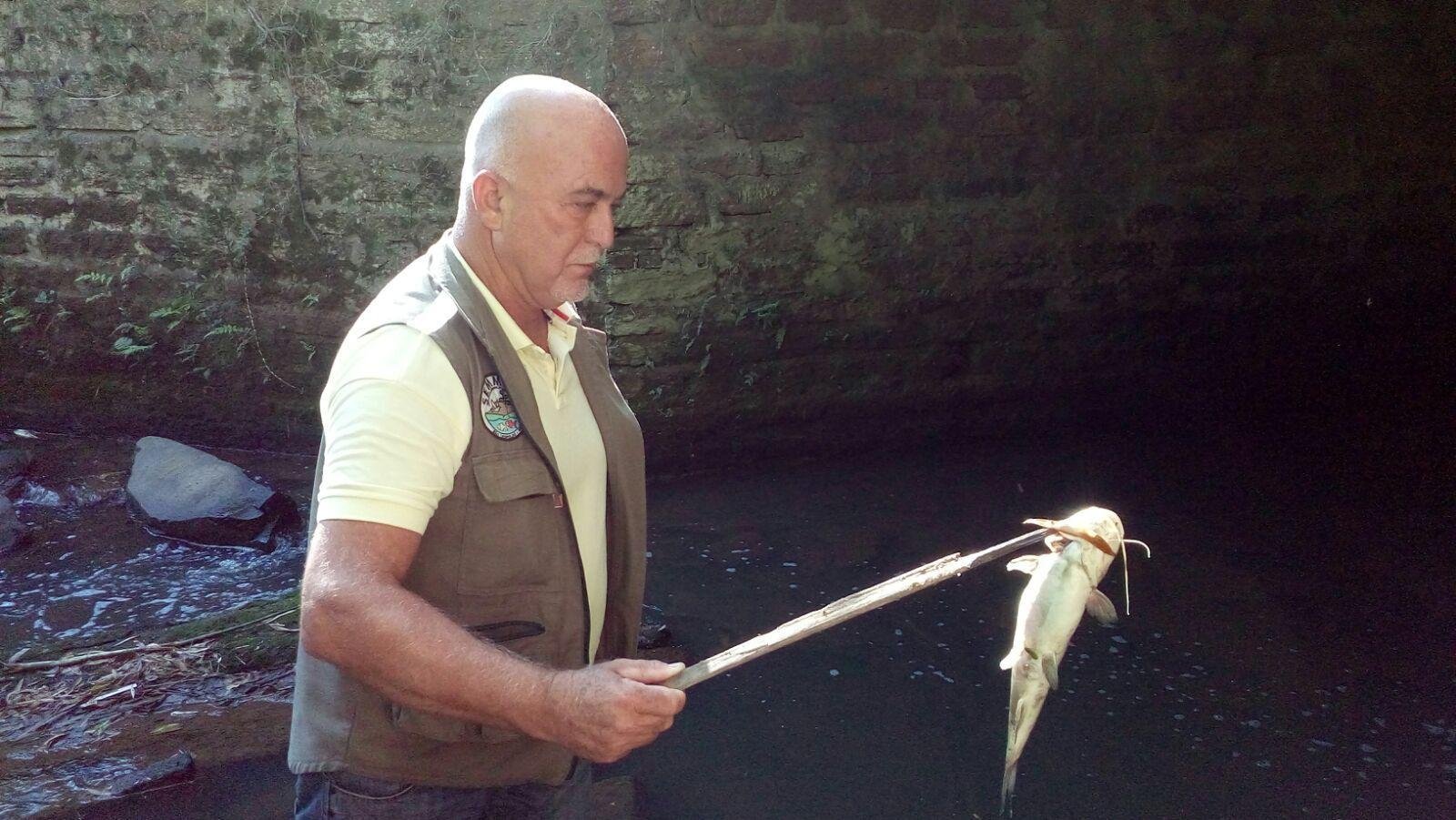Primeira an&aacute;lise aponta para redu&ccedil;&atilde;o de oxig&ecirc;nio na &aacute;gua por conta de descarte de esgoto