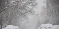 Imprensa norte-americana infirmou que foram registrados 91 metros de altura de neve 