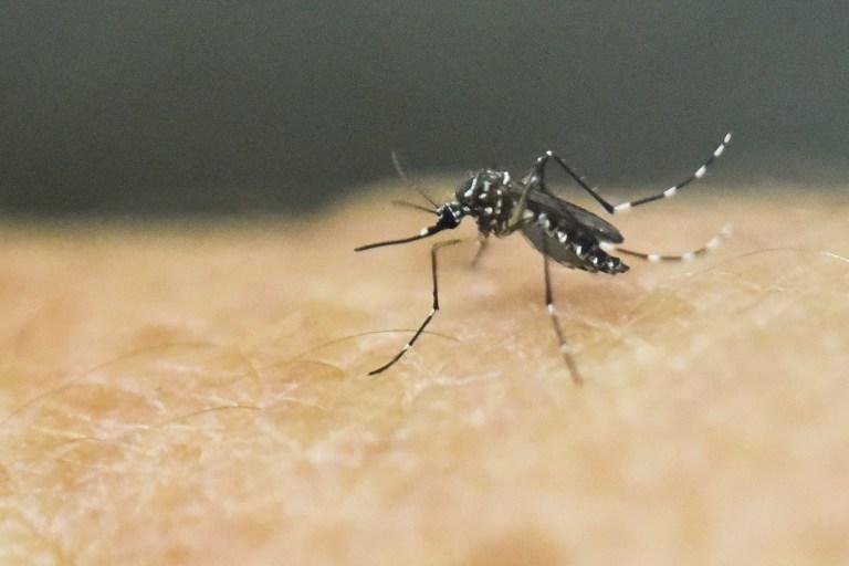 Brasil e Estados Unidos fecharam um acordo para acelerar produ&ccedil;&atilde;o de vacina