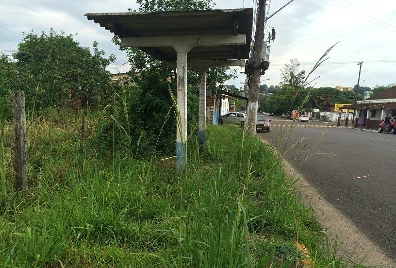 Parada est&aacute; tomada pela vegeta&ccedil;&atilde;o de um terreno baldio