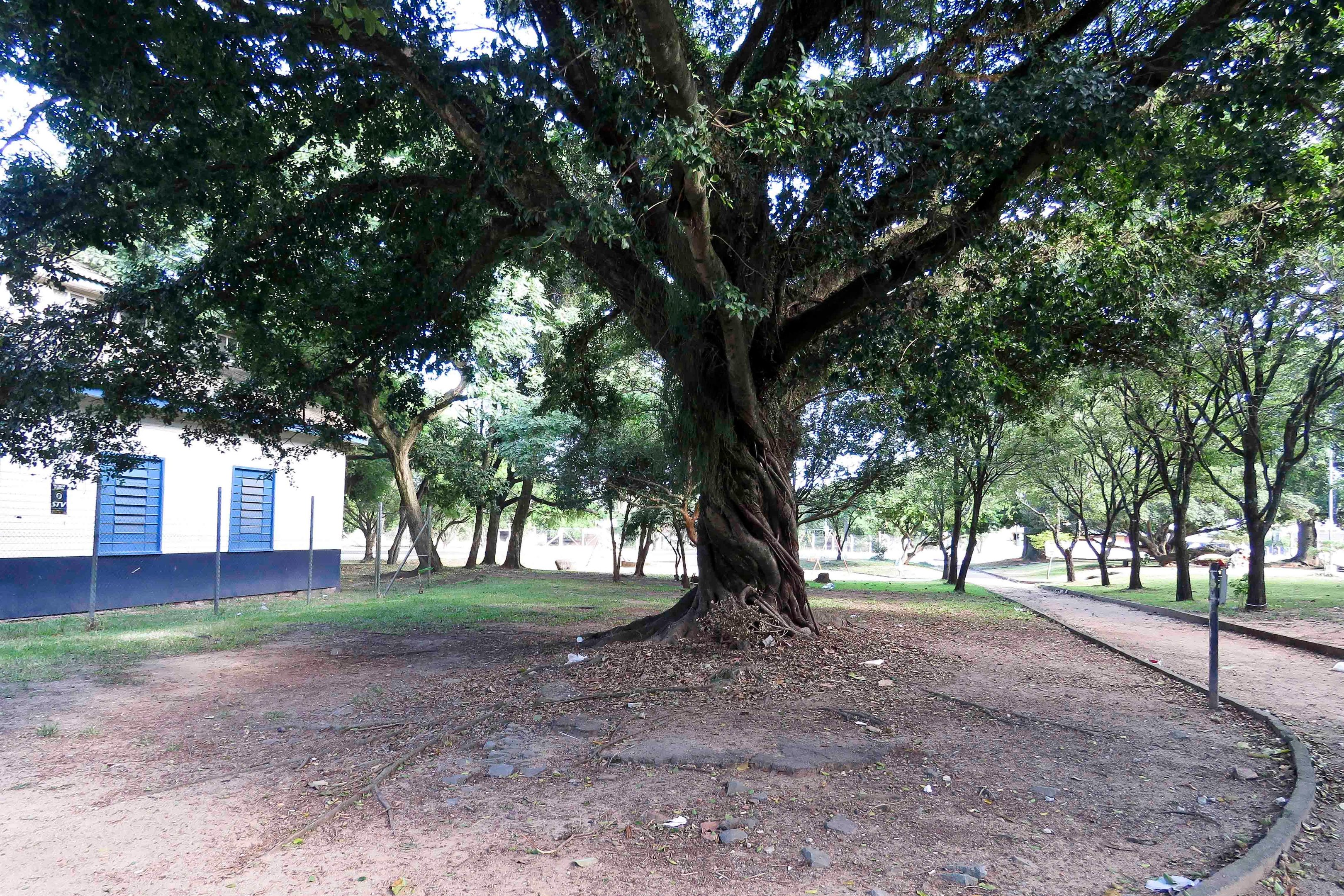 Pra&ccedil;a Brigadeiro Sampaio receber&aacute; projeto para um Cachorr&oacute;dromo 