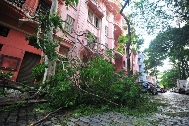 Vento derrubou &aacute;rvores em Porto Alegre