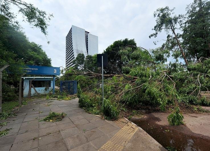 Port&otilde;es de acesso foram bloqueados devido &agrave; queda de &aacute;rvores e muros