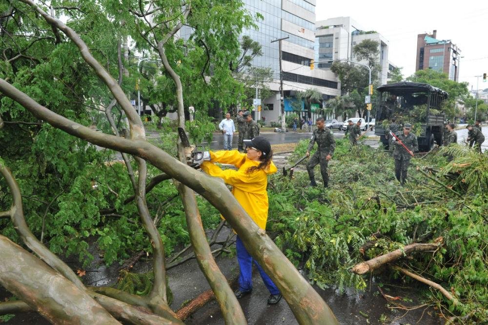 Porto Alegre tem mais de 20 pontos bloqueados por &aacute;rvores 