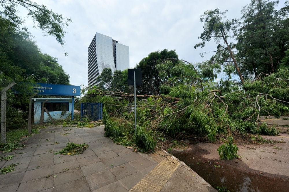 EPTC eleva para 40 n&uacute;mero de pontos bloqueados por &aacute;rvores na Capital