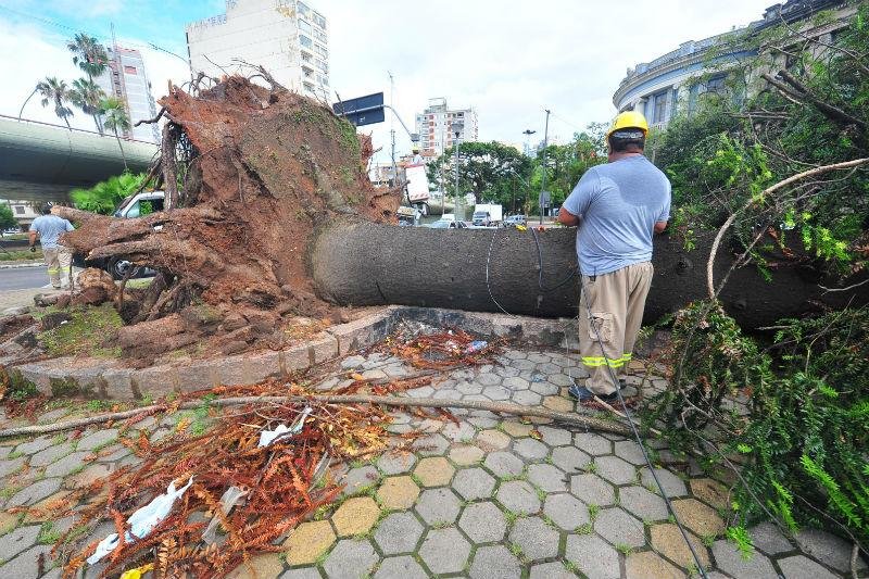H&aacute; muitas &aacute;rvores ca&iacute;das pela cidade, como em frente &agrave; Ufrgs