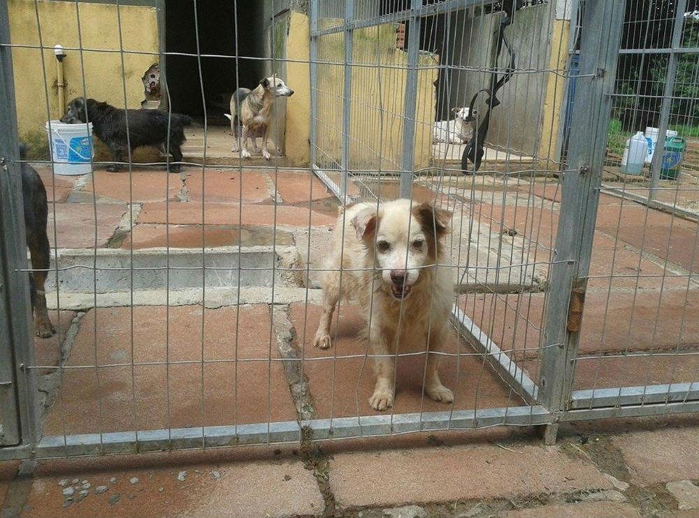 Aumento ocorre entre dezembro e mar&ccedil;o, &eacute;poca em que muitas fam&iacute;lias est&atilde;o de f&eacute;rias