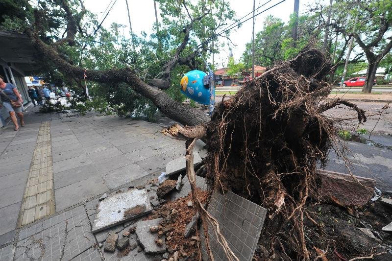 Dezoito ruas seguem bloqueadas por &aacute;rvores devido a temporal 