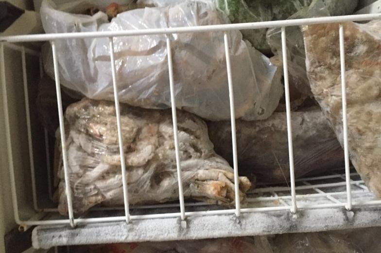 Foram encontrados carnes de gamb&aacute; congelado em restaurante de Florian&oacute;polis