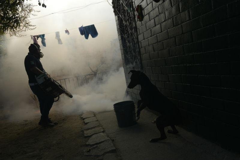 Venezuela confirma tr&ecirc;s mortes por complica&ccedil;&otilde;es ligadas ao Zika