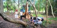 Árvores são replantadas no Parque Farroupilha em Porto Alegre por voluntários e funcionários da Prefeitura