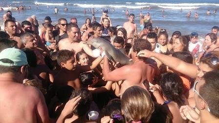 Nova vers&atilde;o diz que animal j&aacute; estaria morto quando foi retirado da &aacute;gua
