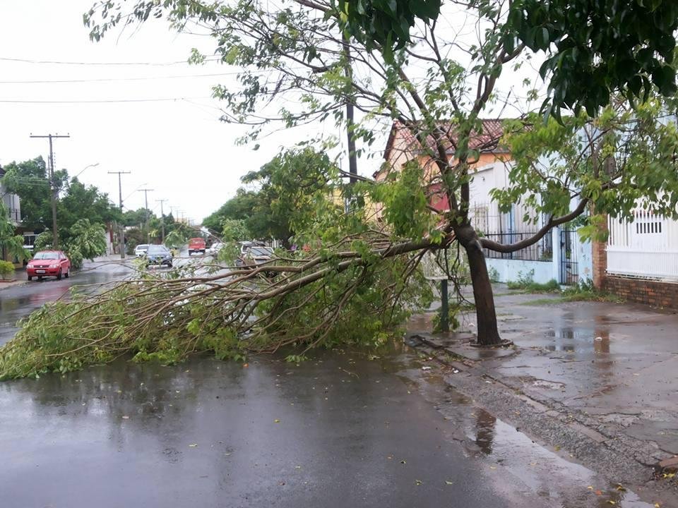Em Uruguaiana, na fronteira com a Argentina, ventos chegaram a 107 km/h