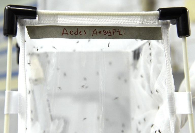 Filipinas come&ccedil;a primeira campanha de vacina&ccedil;&atilde;o contra a dengue no mundo