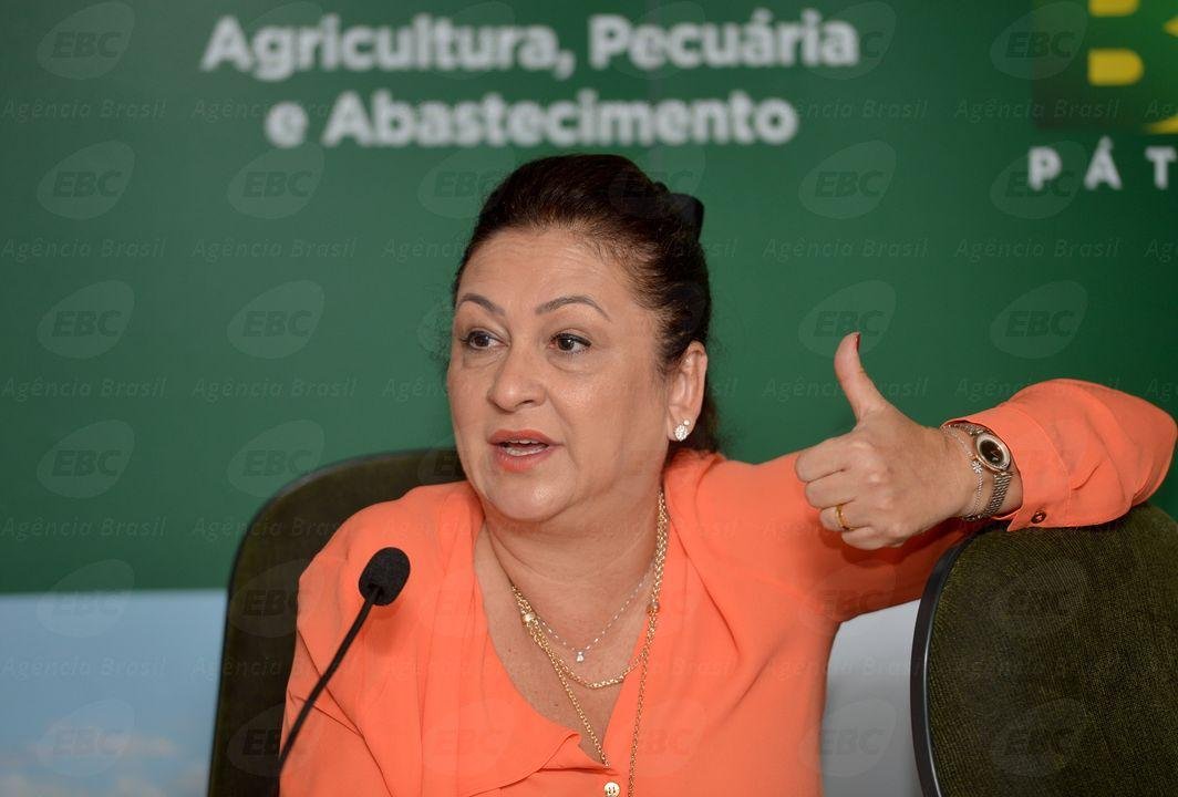 Decreto foi assinado pela presidente Dilma Rousseff e pela ministra da Agricultura K&aacute;tia Abreu