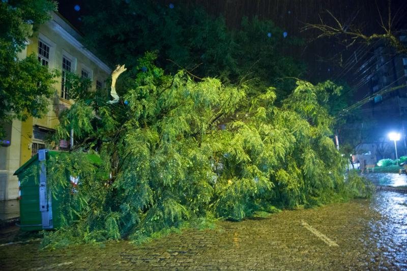 Temporal alaga ruas e provoca queda de &aacute;rvores em Santa Cruz do Sul 