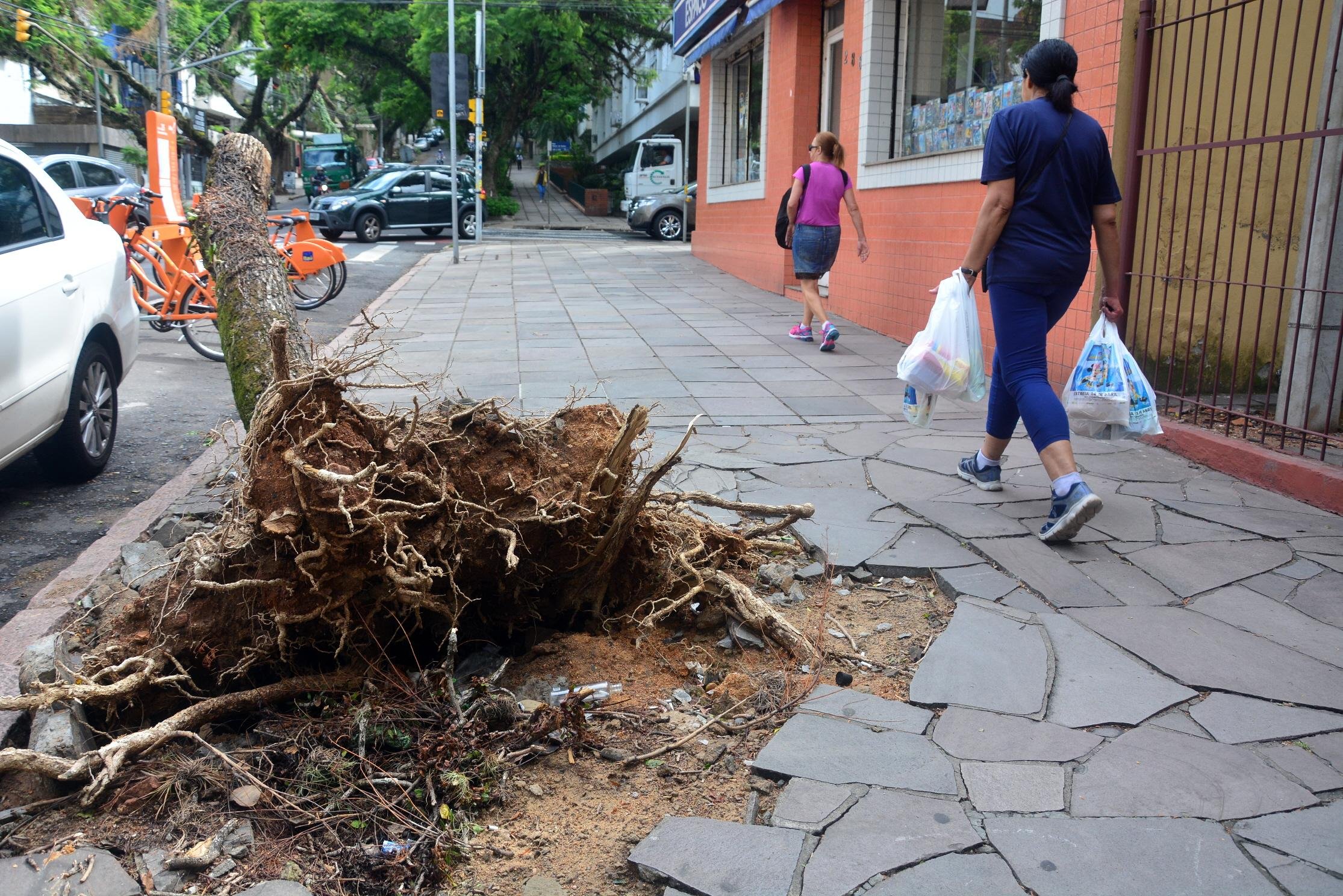 Porto Alegre segue afetada por estragos do temporal de 29 de janeiro