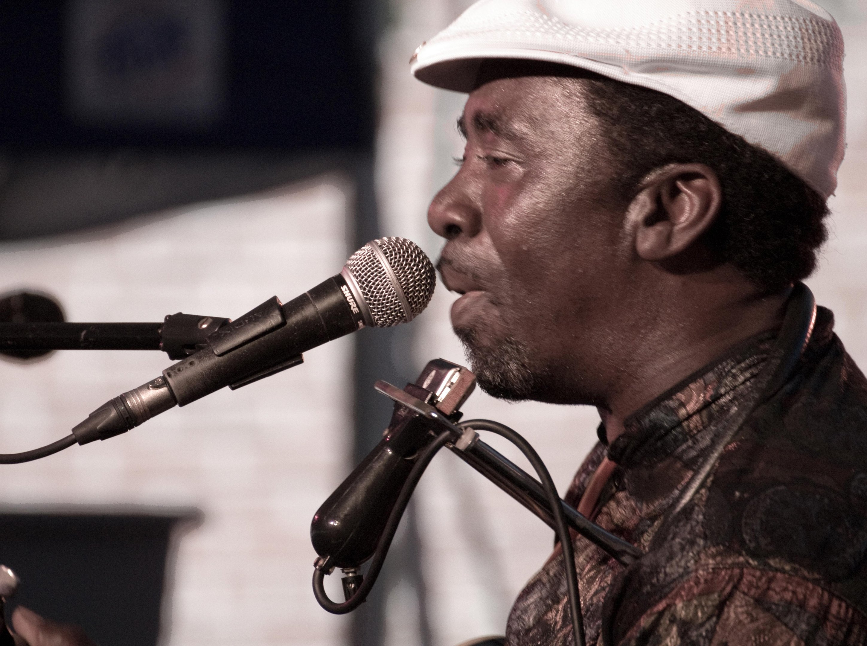 Terry tocou com importantes bluesmen modernos
