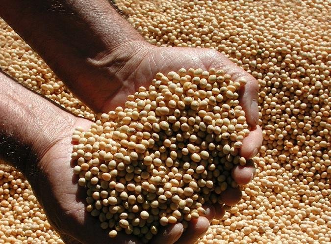 Queda foi de 3,9% em rela&ccedil;&atilde;o ao mesmo per&iacute;odo no ano passado