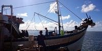 Operação contra pesca ilegal no Sul do RS apreende 14 toneladas de pescados